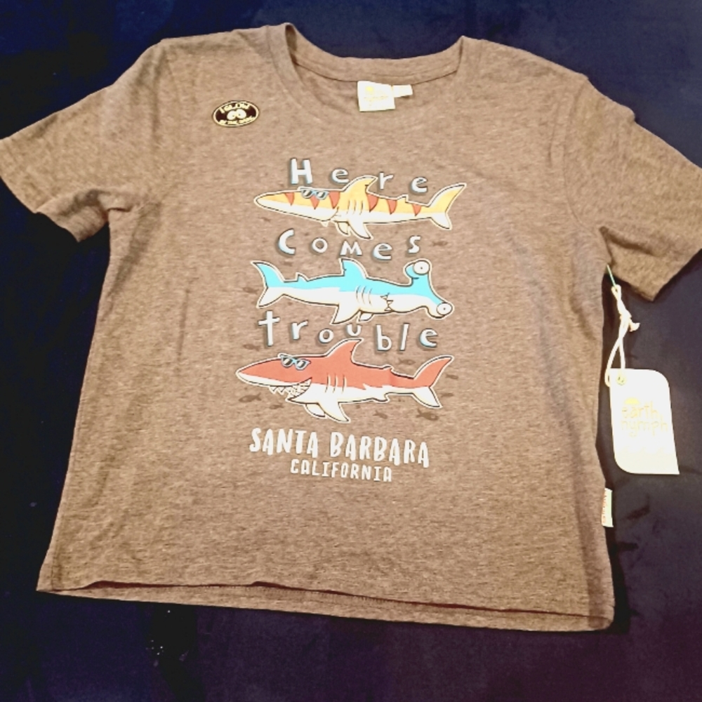 Santa Barbara CA Glow in the dark shark shirt Grey